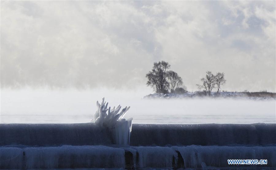 CANADA-TORONTO-EXTREME COLD WEATHER