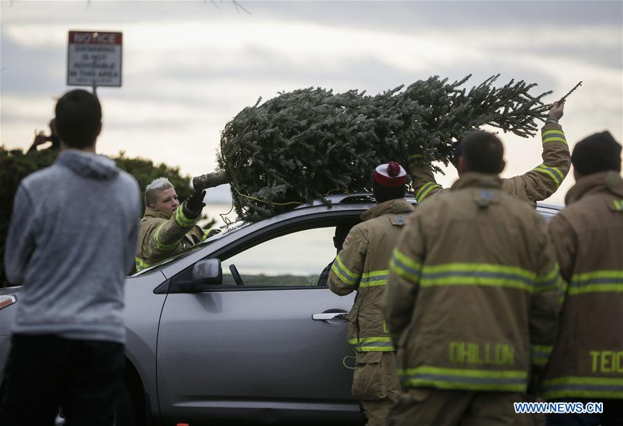 CANADA-RICHMOND-CHRISTMAS TREE-CHIPPING