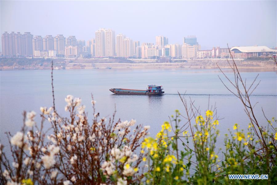 #CHINA-HUBEI-SPRING SCENERY (CN)