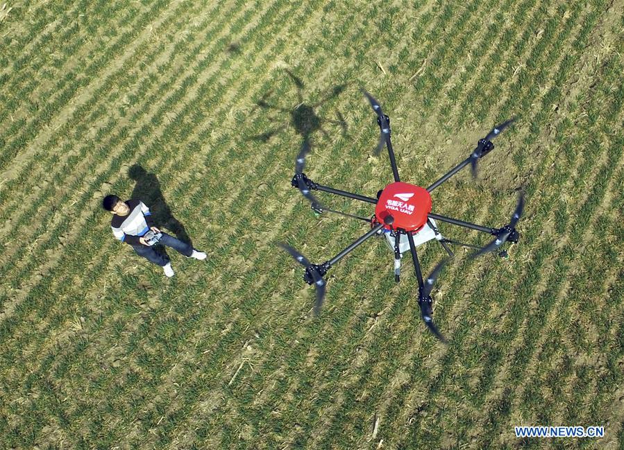 #CHINA-SPRING-FARM WORK (CN)