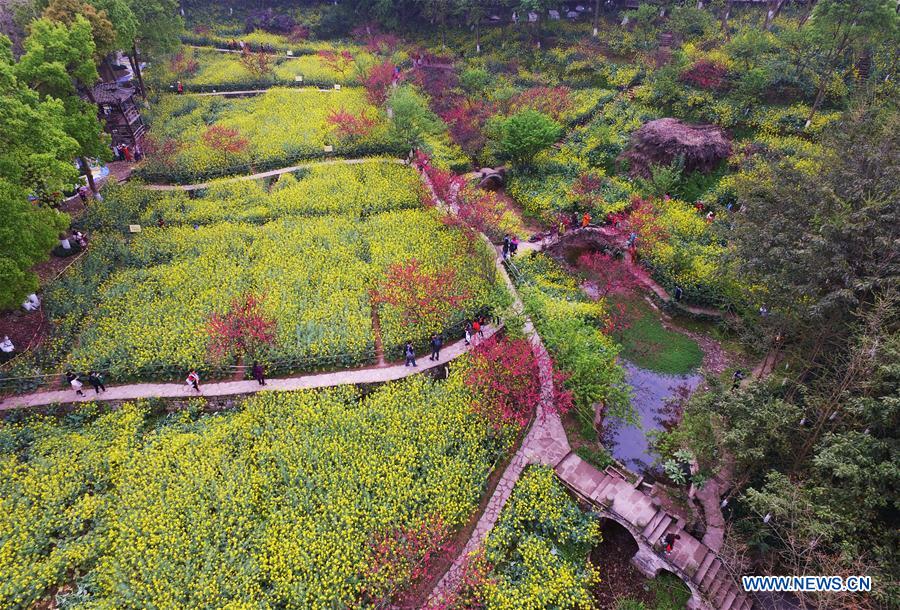 CHINA-CHONGQING-SPRING (CN)