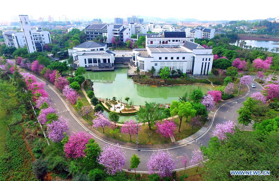 #CHINA-SPRING-FLOWERS(CN)