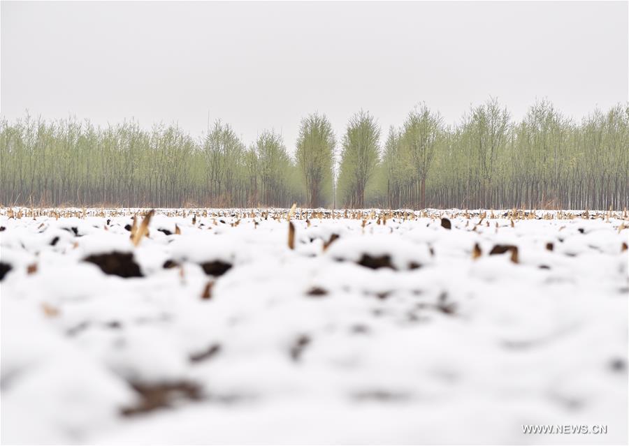 CHINA-COLD FRONT-SNOWFALL (CN)