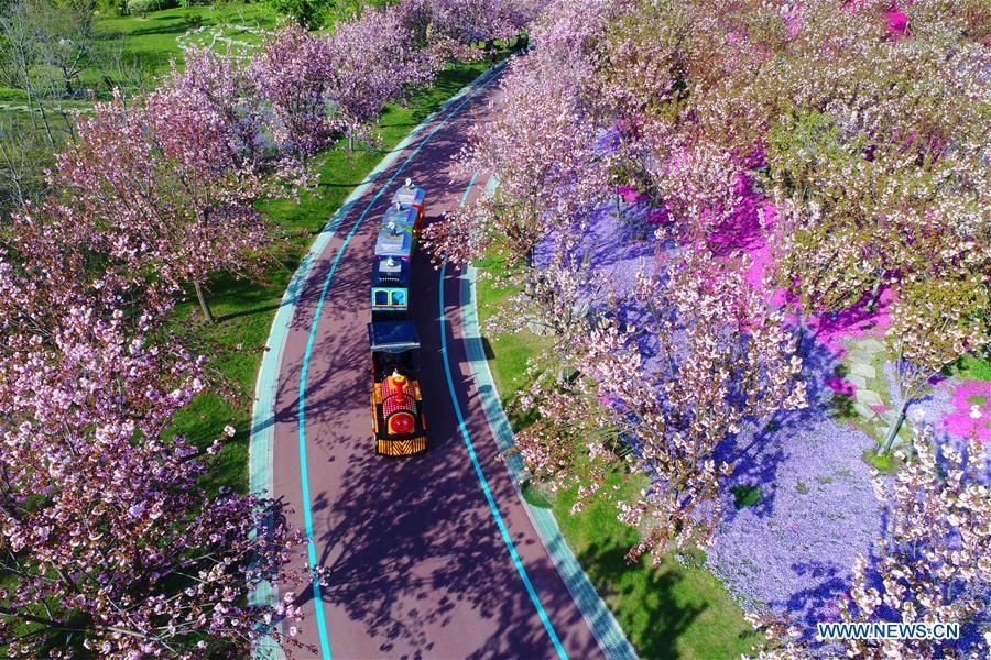 #CHINA-SPRING SCENERY-FLOWERS (CN)