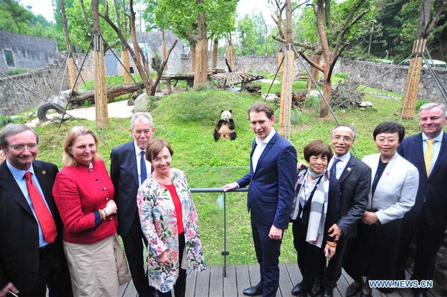 CHINA-SICHUAN-AUSTRIA-PRESIDENT-CHANCELLOR-GIANT PANDA (CN)