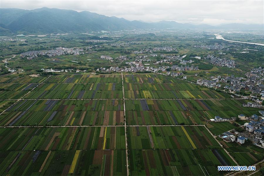 CHINA-ZHEJIANG-VILLAGES-LIVING ENVIRONMENT-OVERHAUL