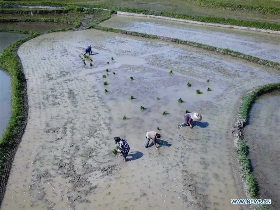 #CHINA-GUIZHOU-ZUNYI-FARM (CN)