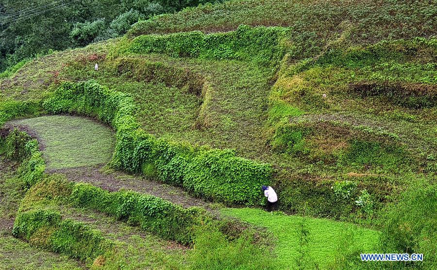 NEPAL-KASKI-DAILY LIFE