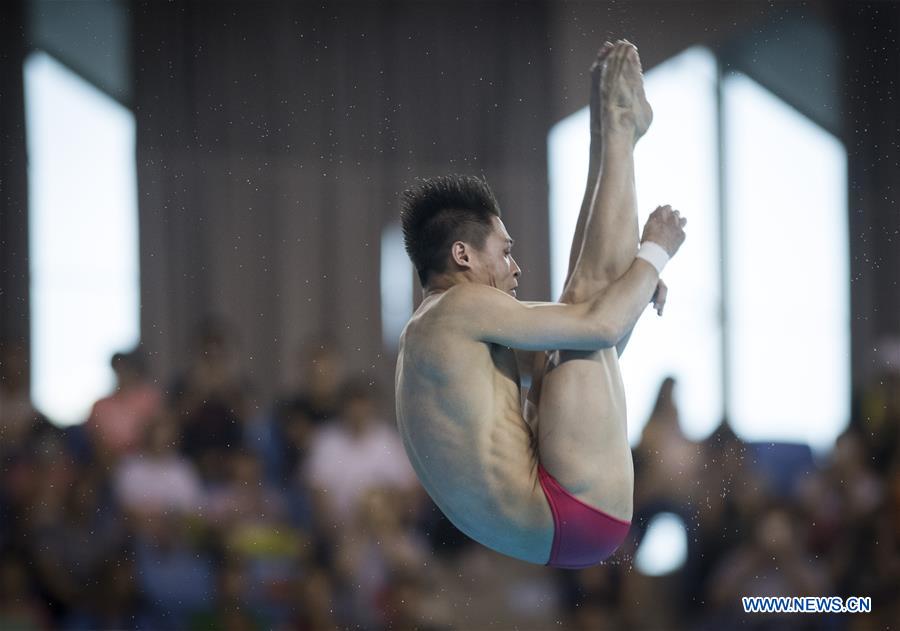 (SP)CHINA-WUHAN-DIVING-FINA-WORLD CUP (CN)