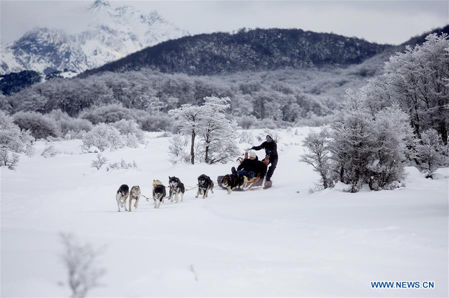 ARGENTINA-USHUAIA-SLEDGES