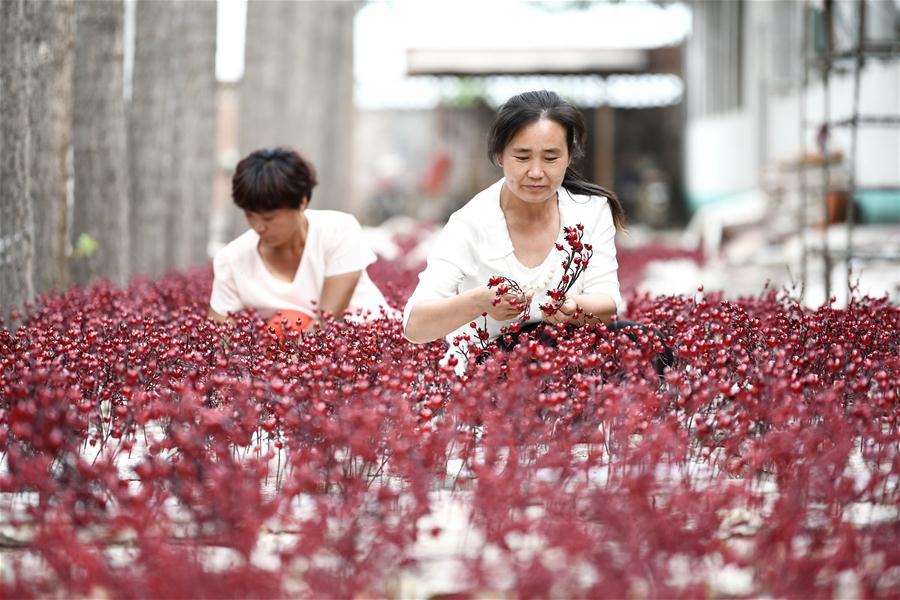 CHINA-HEBEI-ECONOMY-FLOWER-HANDICRAFT-BUSINESS (CN)