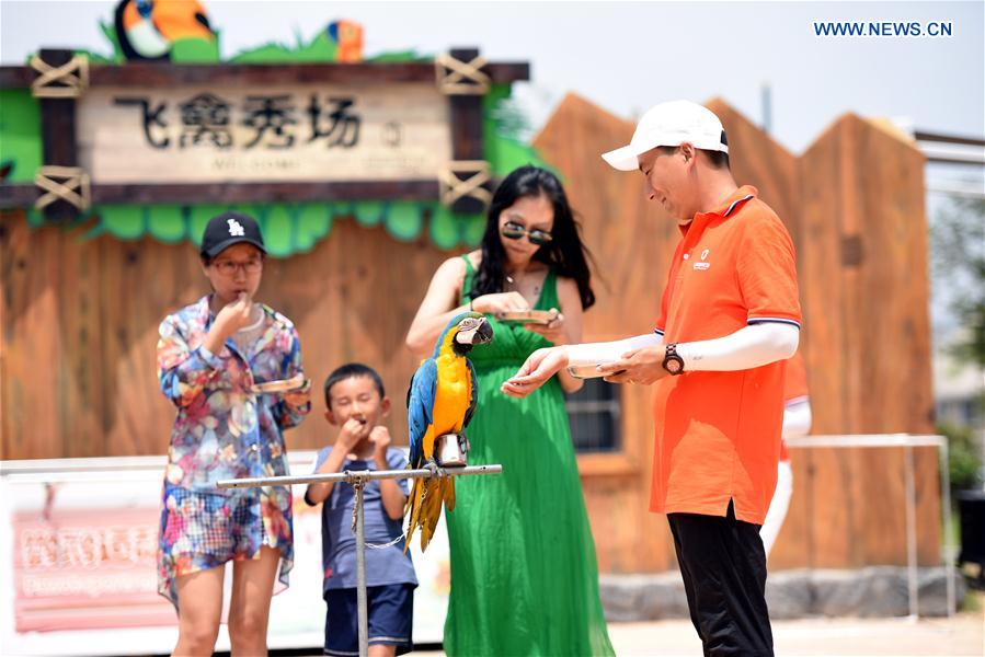 #CHINA-SHANDONG-RIZHAO-OCEAN CARNIVAL (CN)