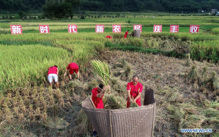 #CHINA-HARVEST (CN)