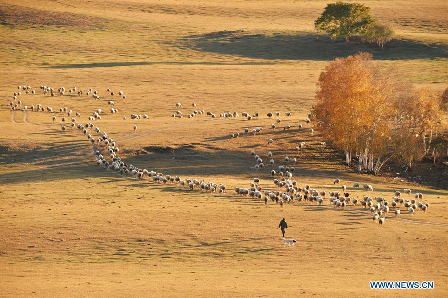 #CHINA-INNER MONGOLIA-SCENERY (CN)