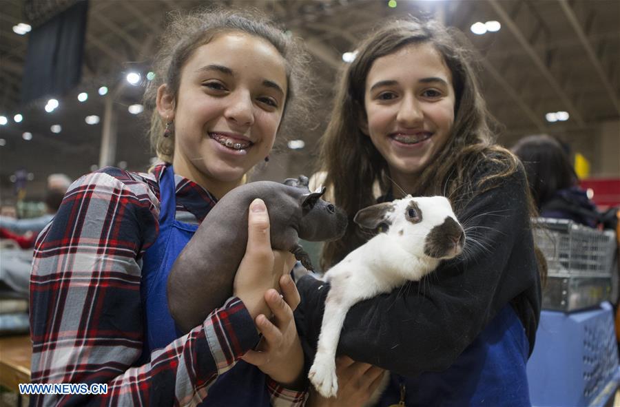 CANADA-TORONTO-ROYAL AGRICULTURAL WINTER FAIR