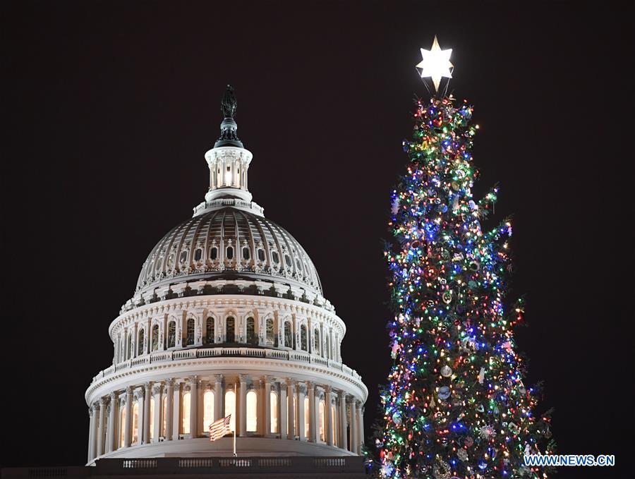 U.S.-WASHINGTON D.C.-CAPITOL CHRISTMAS TREE-LIGHTING