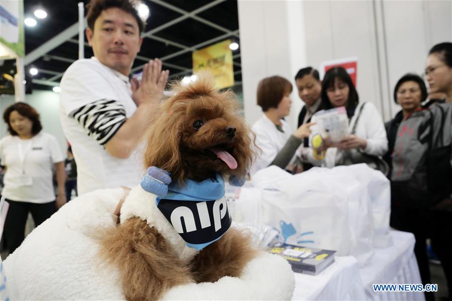 #CHINA-HONG KONG-PET SHOW (CN*)