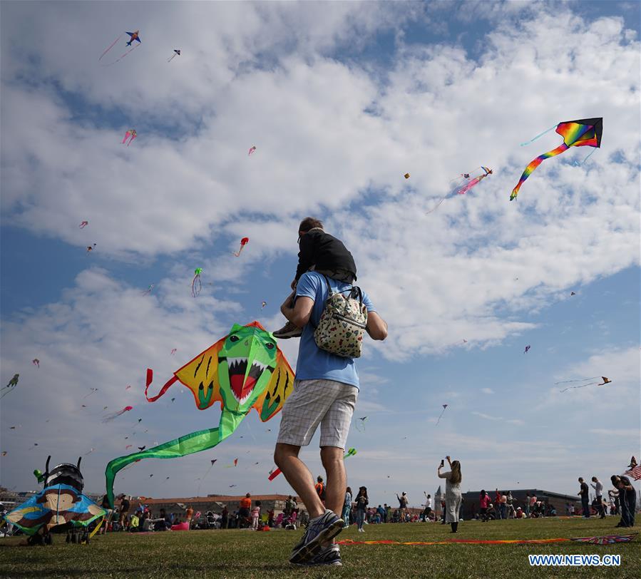 U.S.-WASHINGTON, D.C.-KITES