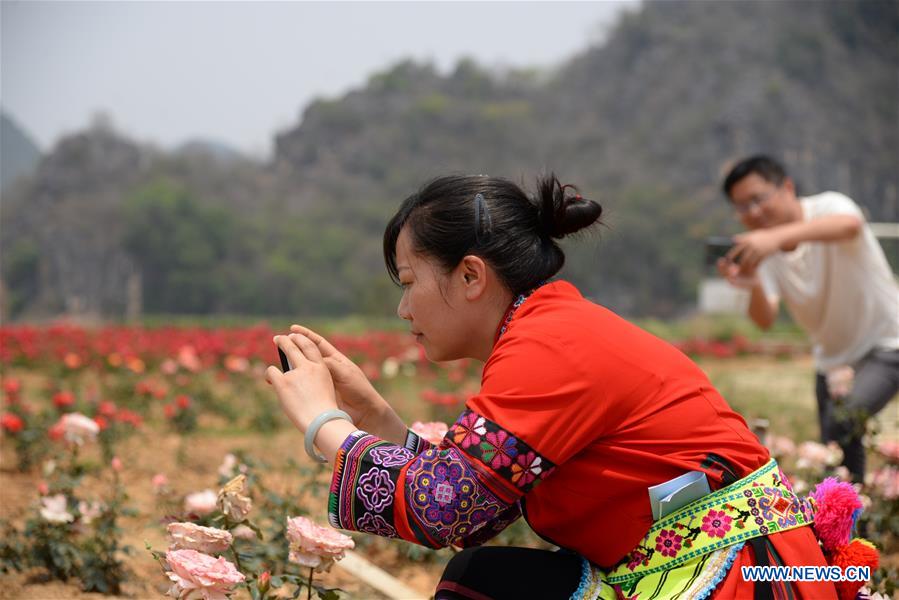 CHINA-YUNNAN-PUZHEHEI NATIONAL WETLAND PARK (CN)