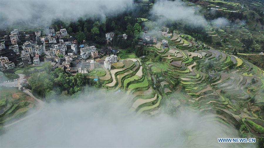 CHINA-GUIZHOU-LIPING-TERRACED FIELDS (CN)