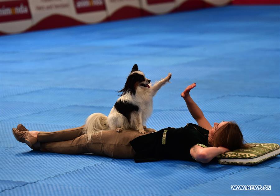 GERMANY-DORTMUND-DOG-CAT-EXHIBITION