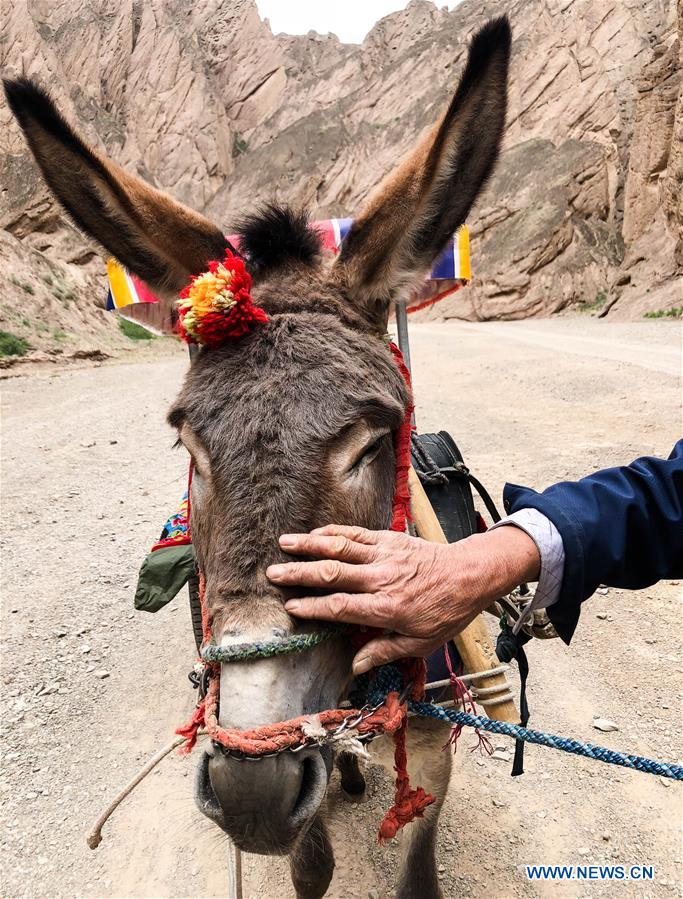 CHINA-GANSU-JINGTAI-DONKEY RIDE-BUSINESS (CN)