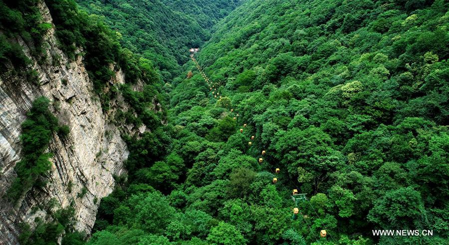 CHINA-SHAANXI-FOREST PARK-SCENERY (CN)