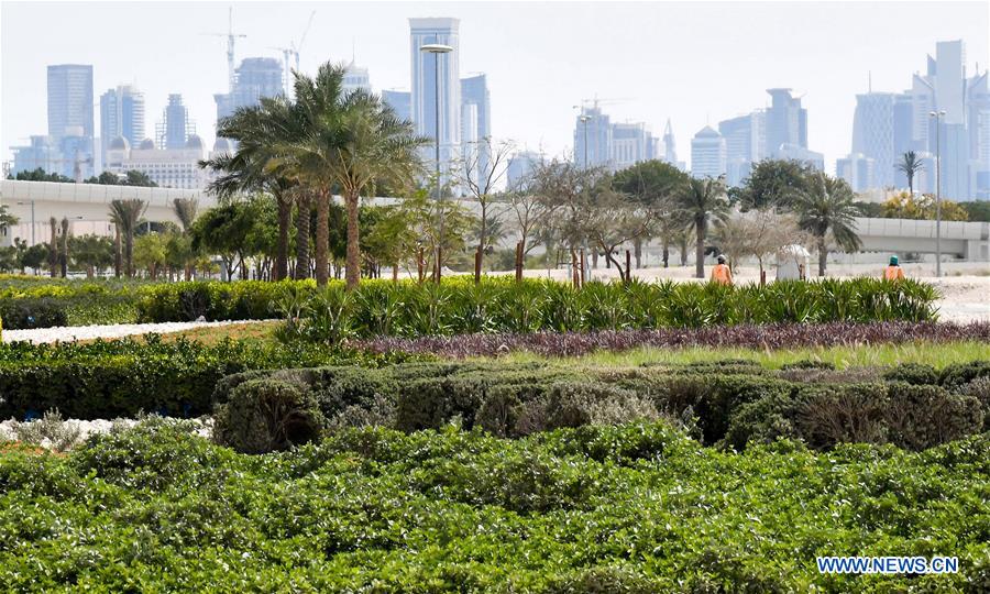 QATAR-DOHA-BUILDINGS