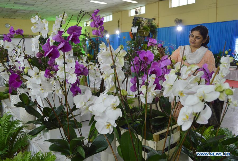 INDIA-BANGALORE-ORCHID SHOW