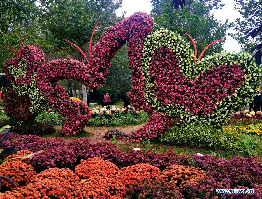 (BeijingCandid)CHINA-BEIJING-CHRYSANTHEMUM (CN)