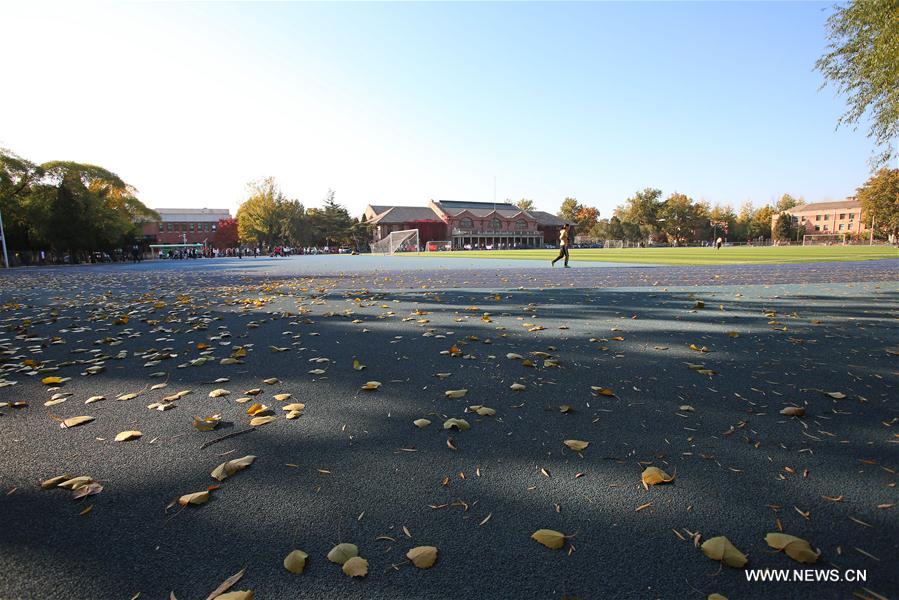 CHINA-BEIJING-TSINGHUA UNIVERSITY-AUTUMN SCENERY (CN)