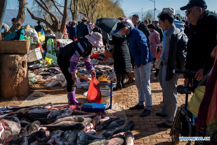 CHINA-YUNNAN-XINGYUN LAKE-FISH SEASON-START (CN)