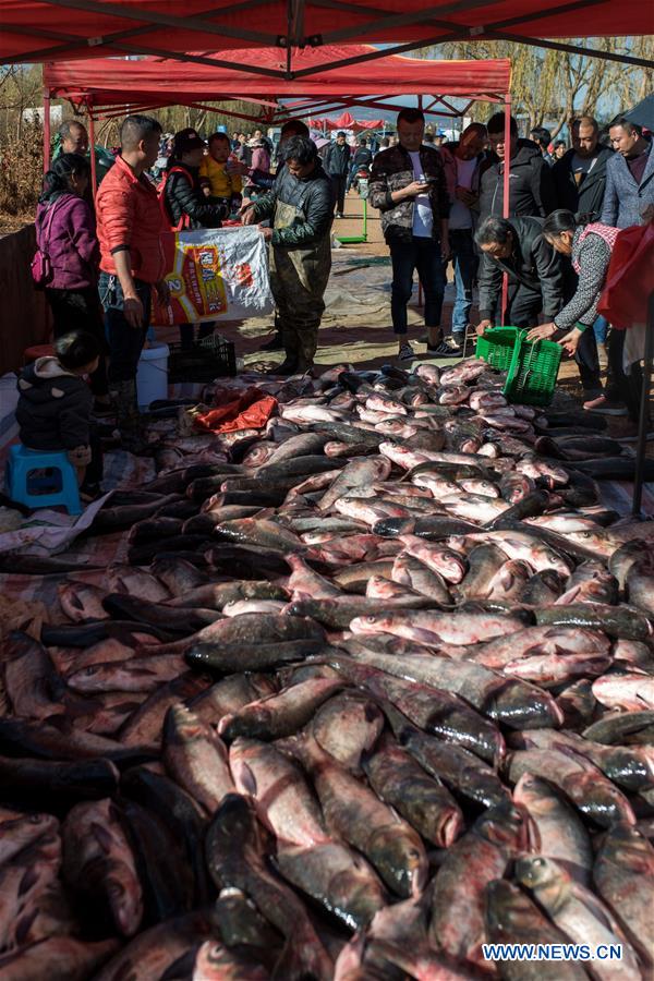 CHINA-YUNNAN-XINGYUN LAKE-FISH SEASON-START (CN)