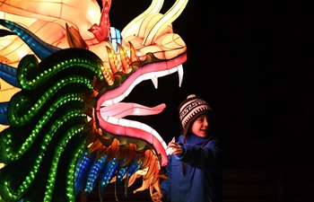 China Light Festival held at Cologne Zoo in Germany