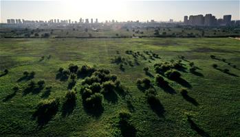 Scenery at wetland near Jingbian County in NW China's Shaanxi