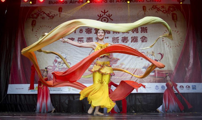 Chinese Lunar New Year celebrated across world