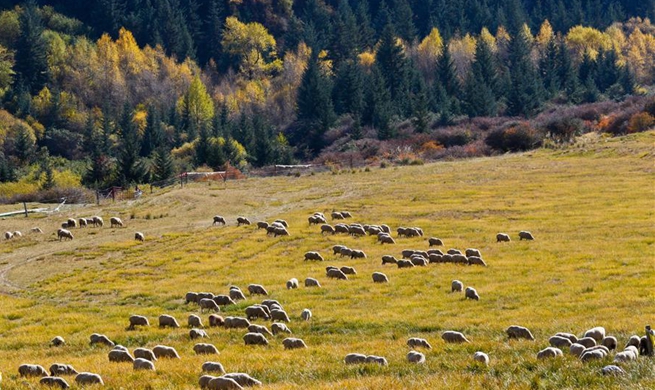 Autumn scenery of Qilian Mountains in NW China's Gansu