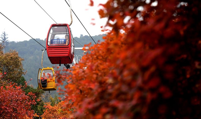 Red leaves attract tourists at Badachu Park in Beijing