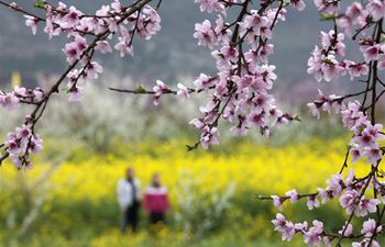 Scenery of early spring across China