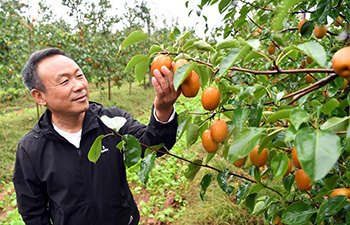 Pic story: From veteran to experienced farmer