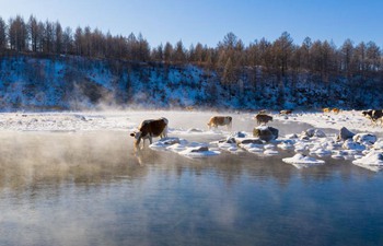 Xinhua photos of the day