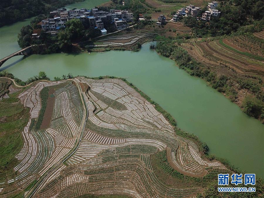 （春季美丽生态）（14）飞阅边关山田春景