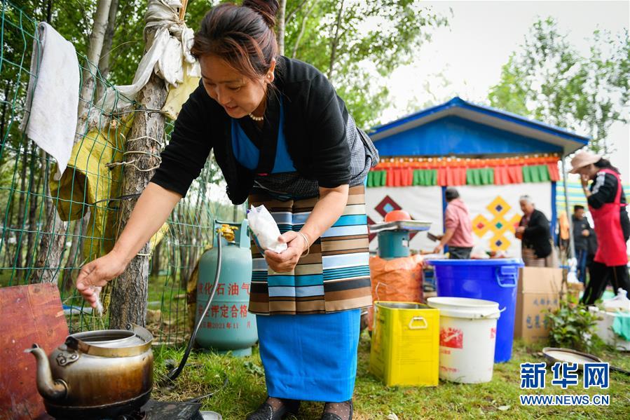 （社会）（11）夏日“过林卡” 亲近大自然