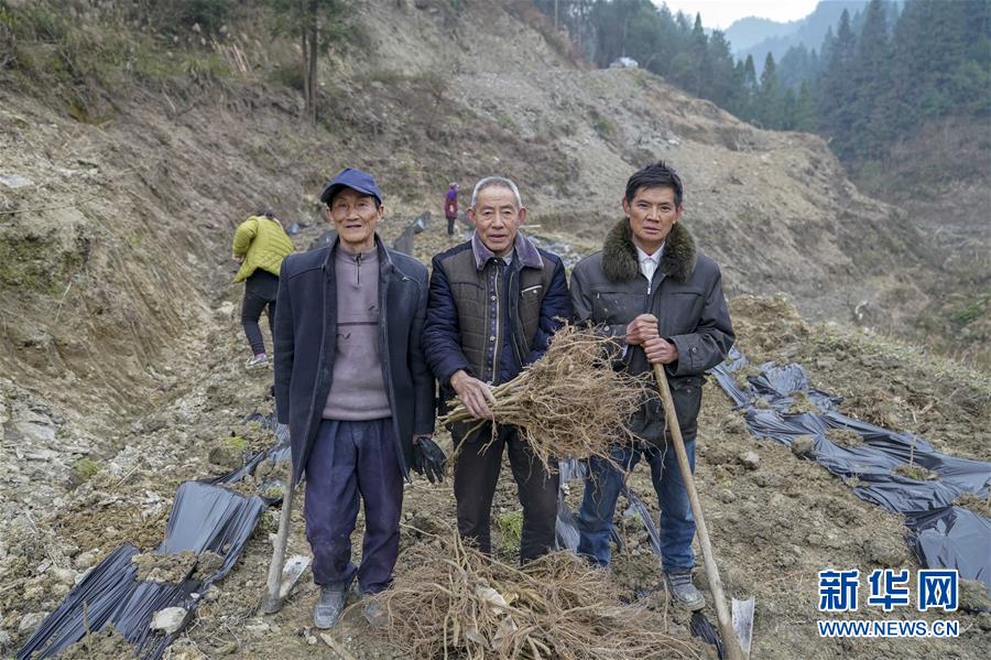 （新春走基层）（6）重庆黔江：土家三老汉 一台“扶贫戏”