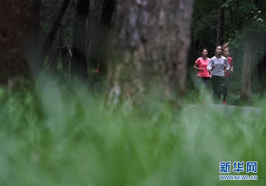 （新华全媒头条·图文互动）（10）同筑和平 共襄盛会——写在第七届世界军人运动会开幕倒计时100天之际