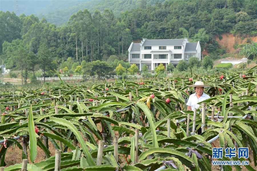 （在习近平新时代中国特色社会主义思想指引下——新时代新作为新篇章·总书记关心的百姓身边事·图文互动）（6）大污染变身“大宝藏”：治理畜禽粪污，他们这样干！