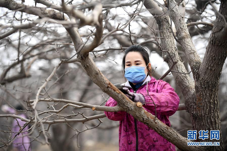 （聚焦疫情防控·图文互动）（2）农民工返城：几多憧憬几许等待——走进疫情下的河北劳务输出专业村