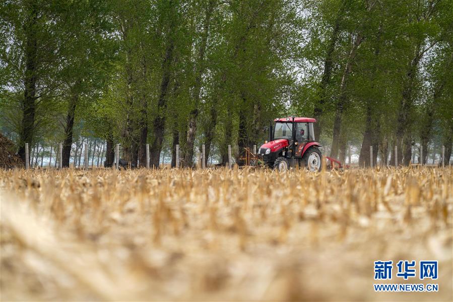 （在习近平新时代中国特色社会主义思想指引下——新时代新作为新篇章·习近平总书记关切事·图文互动）（9）让每一寸耕地都成为丰收的沃土——我国加强耕地?；ね平?ldquo;藏粮于地”