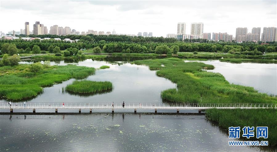 （走向我们的小康生活·图文互动）（1）水清、地绿、空气新——最北省份黑龙江绘就生态治理新画卷