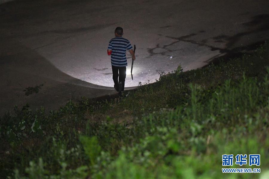 （防汛抗洪·图文互动）（1）“保卫家园，谁都不能是旁观者”——夜访洞庭湖大堤防汛一线